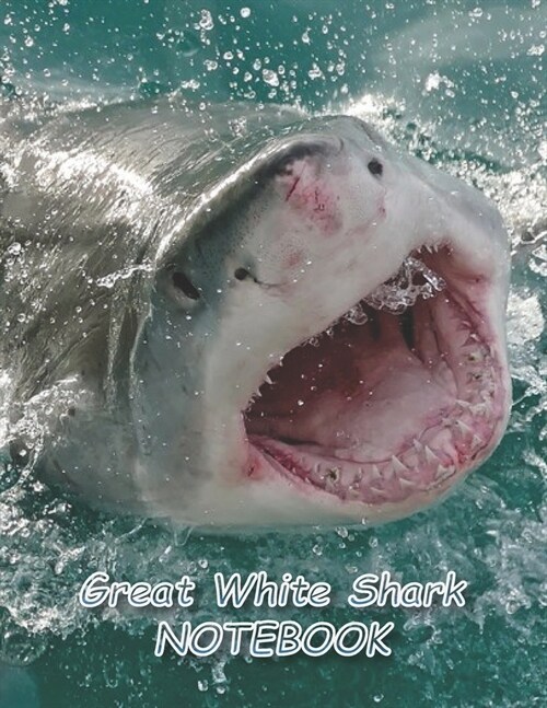Great White Shark NOTEBOOK: Notebooks and Journals 110 pages (8.5x11) (Paperback)