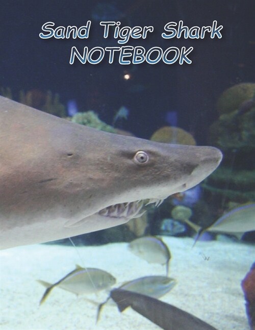 Sand Tiger Shark NOTEBOOK: Notebooks and Journals 110 pages (8.5x11) (Paperback)