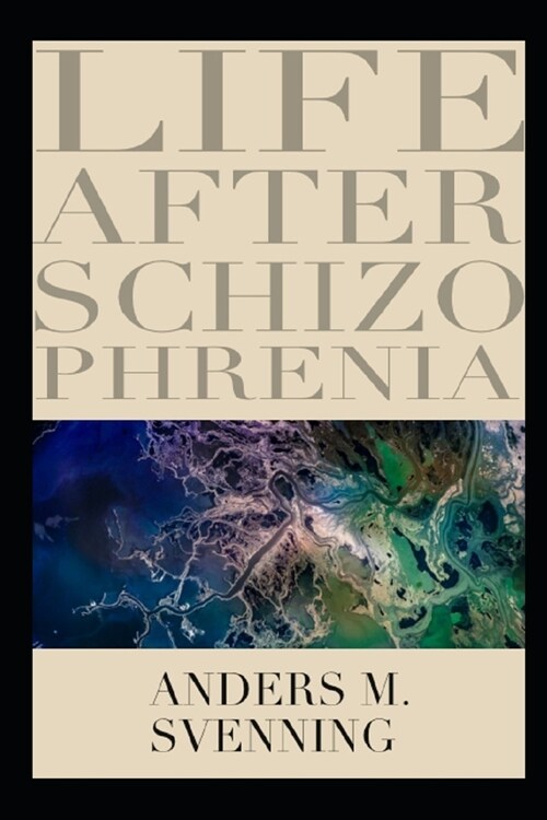 Life After Schizophrenia: Essays (Paperback)