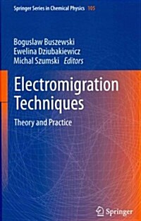 Electromigration Techniques: Theory and Practice (Hardcover, 2013)