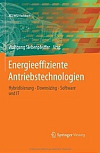 Energieeffiziente Antriebstechnologien: Hybridisierung - Downsizing - Software Und It (Hardcover, 2013)