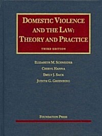 Domestic Violence and the Law (Hardcover, 3rd)