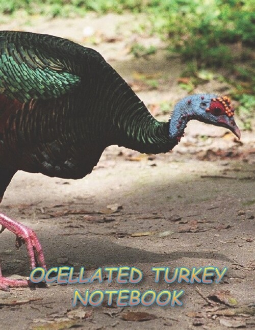 Ocellated Turkey Notebook: Notebooks and Journals 110 pages (8.5x11) (Paperback)