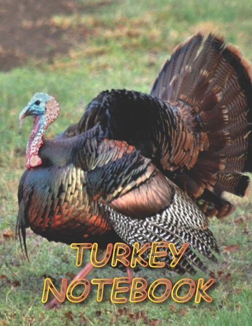 Turkey Notebook: Notebooks and Journals 110 pages (8.5x11) (Paperback)