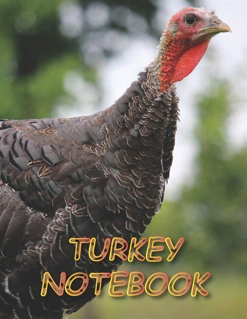 Turkey Notebook: Notebooks and Journals 110 pages (8.5x11) (Paperback)