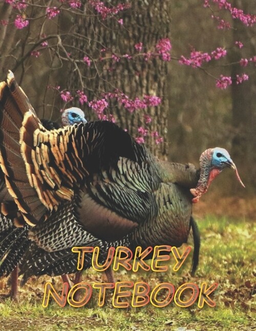Turkey Notebook: Notebooks and Journals 110 pages (8.5x11) (Paperback)