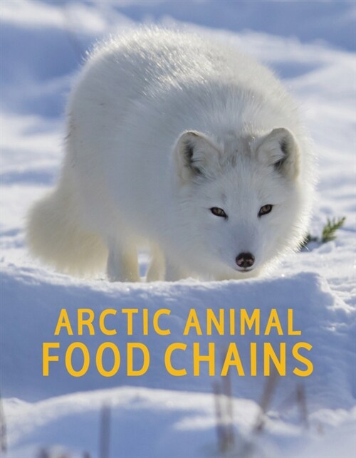 Arctic Animal Food Chains: English Edition (Paperback, English)