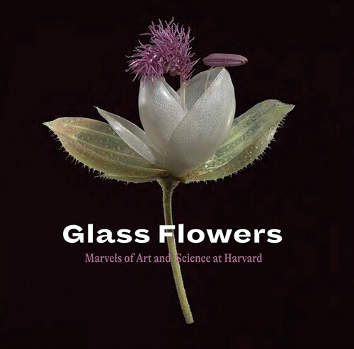 Glass Flowers : Marvels of Art and Science at Harvard (Paperback)