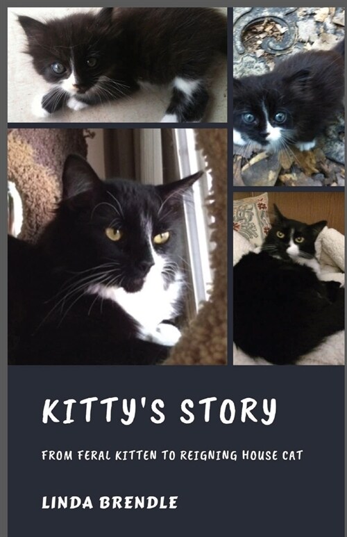 Kittys Story: From Feral Kitten to Reigning Housecat (Paperback)