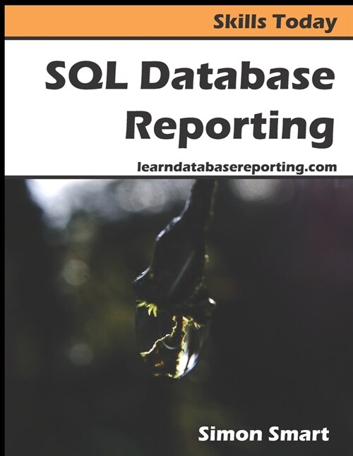 SQL Database Reporting (Paperback)