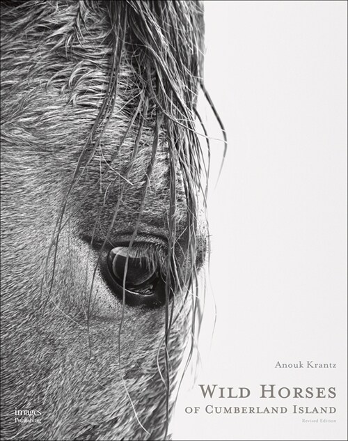 Wild Horses of Cumberland Island (Hardcover, 2)