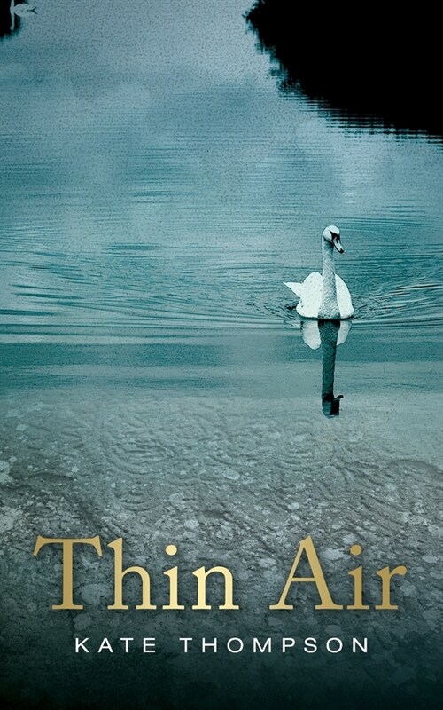 Thin Air (Paperback)