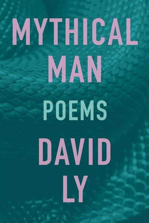 Mythical Man (Paperback)