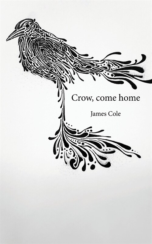 Crow, come home (Paperback)