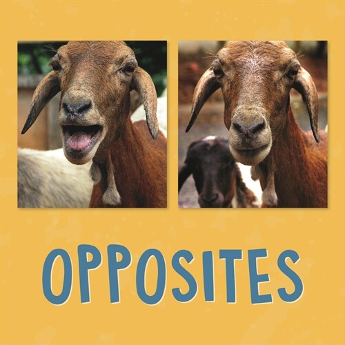 Opposites: English Edition (Paperback, English)