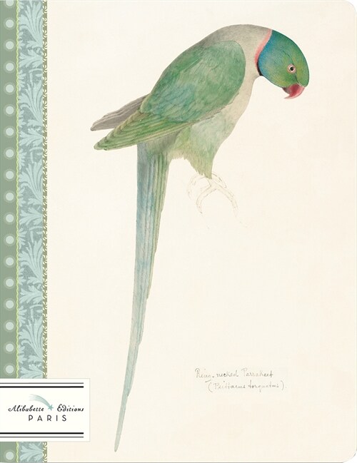 Perruche-Parakeet: Watercolor of Ring Necked Parakeet Circa 1835 by Edward Lear (1812-1888) (Other)