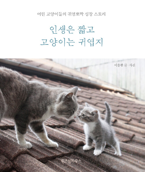 [중고] 인생은 짧고 고양이는 귀엽지