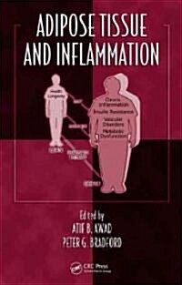 Adipose Tissue and Inflammation (Hardcover)
