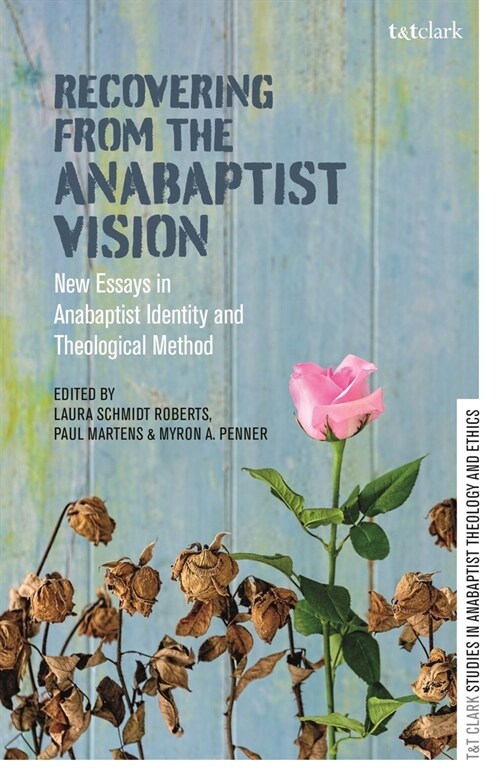 Recovering from the Anabaptist Vision : New Essays in Anabaptist Identity and Theological Method (Hardcover)