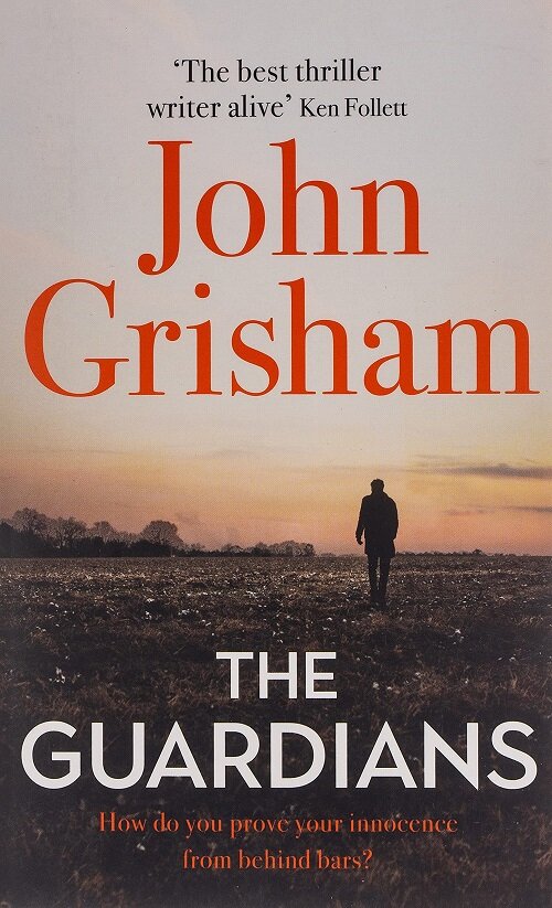 The Guardians (Paperback)