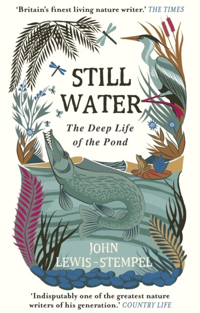 Still Water : The Deep Life of the Pond (Paperback)