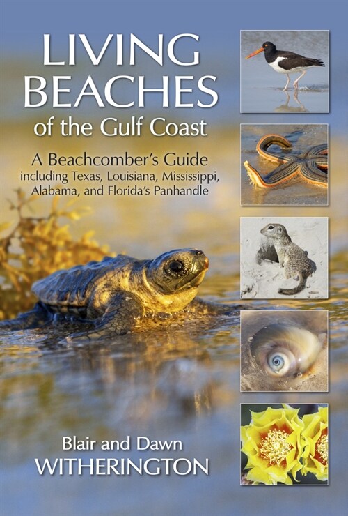 Living Beaches of the Gulf Coast: A Beachcombers Guide Including Texas, Louisiana, Mississippi, Alabama and Floridas Panhandle (Paperback)