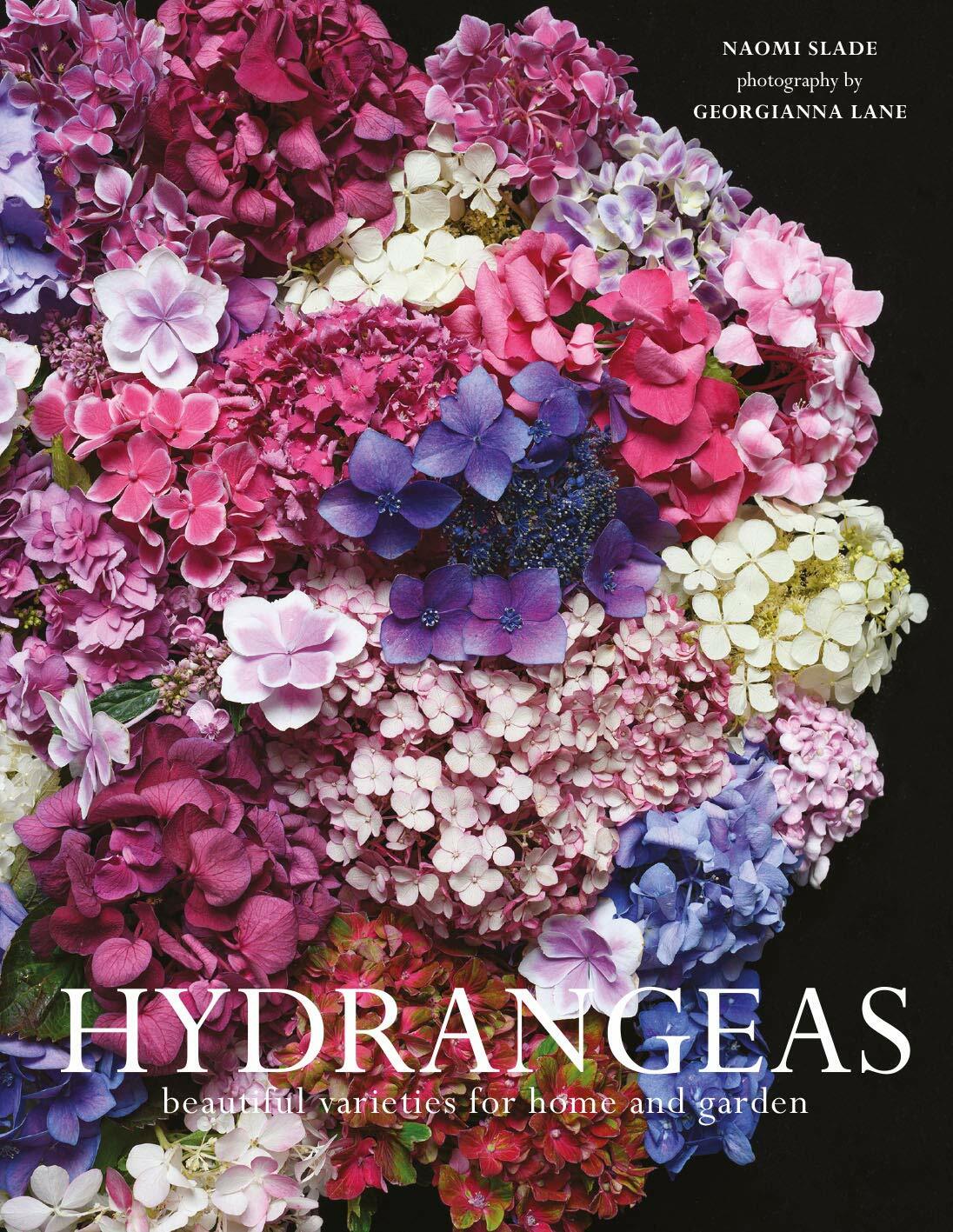 Hydrangeas : Beautiful varieties for home and garden (Hardcover)