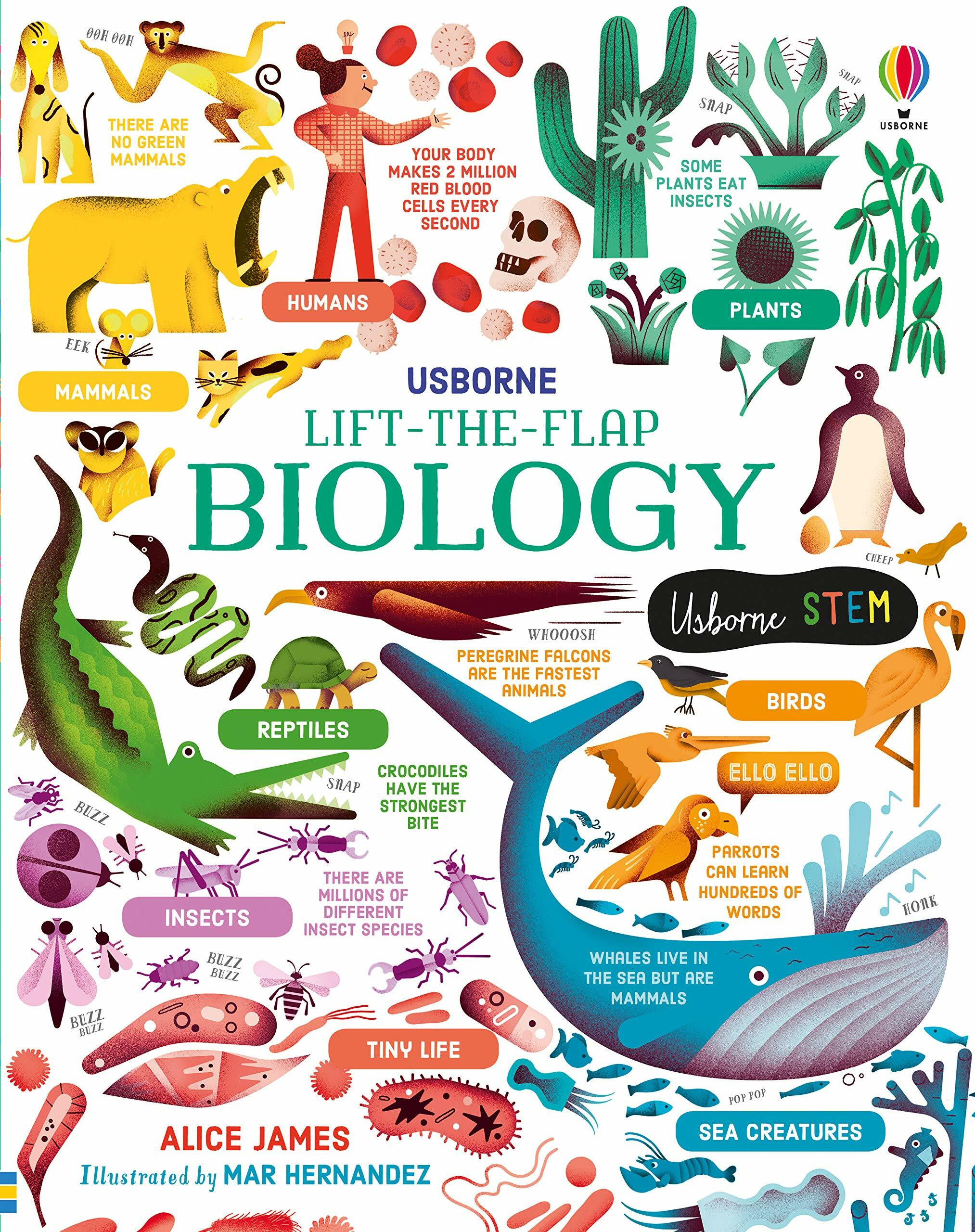 Lift-the-Flap Biology (Board Book)