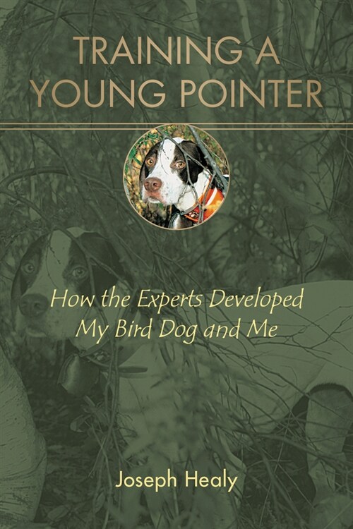 Training a Young Pointer: How the Experts Developed My Bird Dog and Me (Paperback)