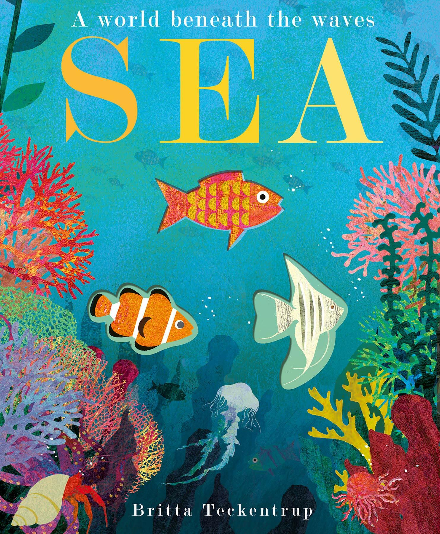 Sea : A World Beneath the Waves (Paperback)