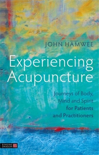 Experiencing Acupuncture : Journeys of Body, Mind and Spirit for Patients and Practitioners (Paperback)