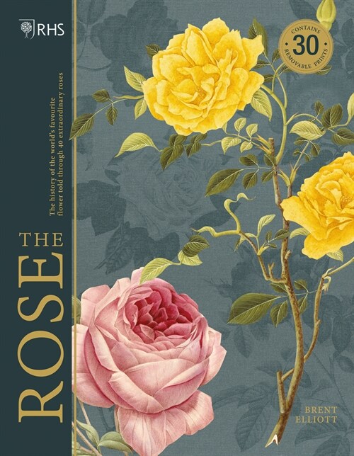 RHS The Rose : The history of the worlds favourite flower in 40 roses (Hardcover)