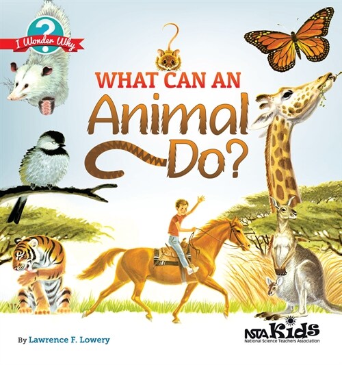 What Can an Animal Do? (Paperback)