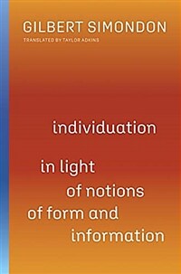 Individuation in Light of Notions of Form and Information: Volume 1 (Paperback)