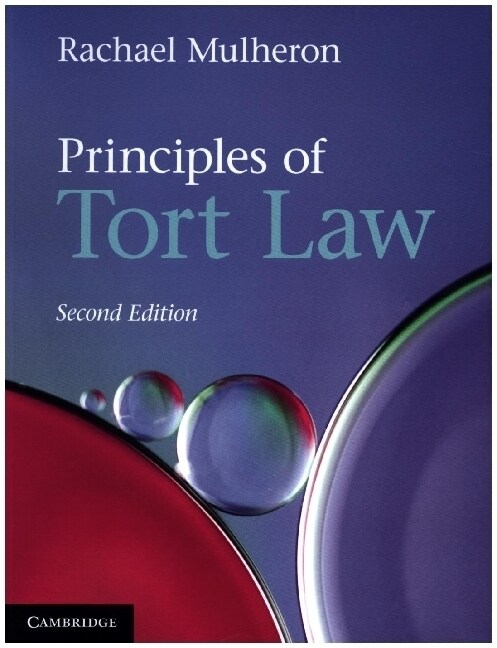 Principles of Tort Law (Paperback, 2 Revised edition)