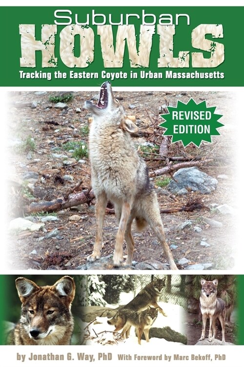Suburban Howls: Tracking the Eastern Coyote in Urban Massachusetts (Paperback)