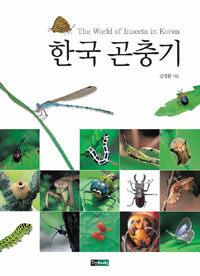 한국 곤충기 =(The) world of insects in Korea 