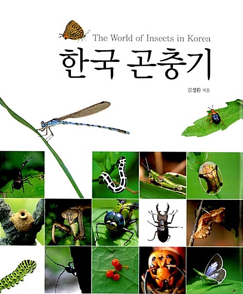 한국 곤충기