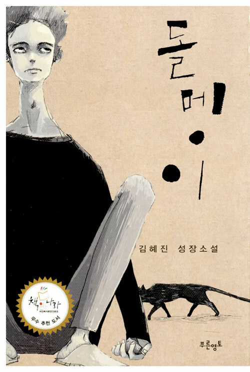 돌멩이 : 김혜진 성장소설