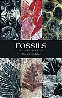 Fossils : A Photographic Field Guide (Paperback)