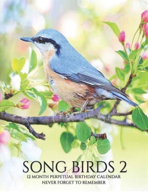 Perpetual Birthday Calendar: Song Birds 2 Perpetual Birthday Anniversary Calendar 8.5x11 Special Event Reminder Record Book Journal Important Date (Paperback)