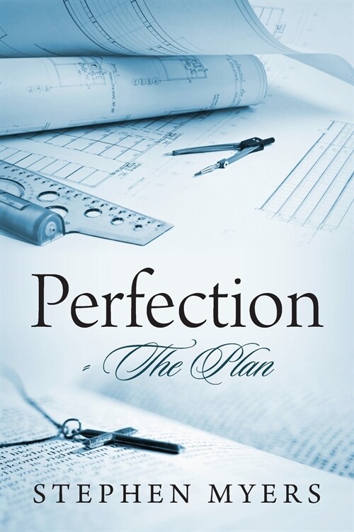 Perfection - The Plan (Paperback)