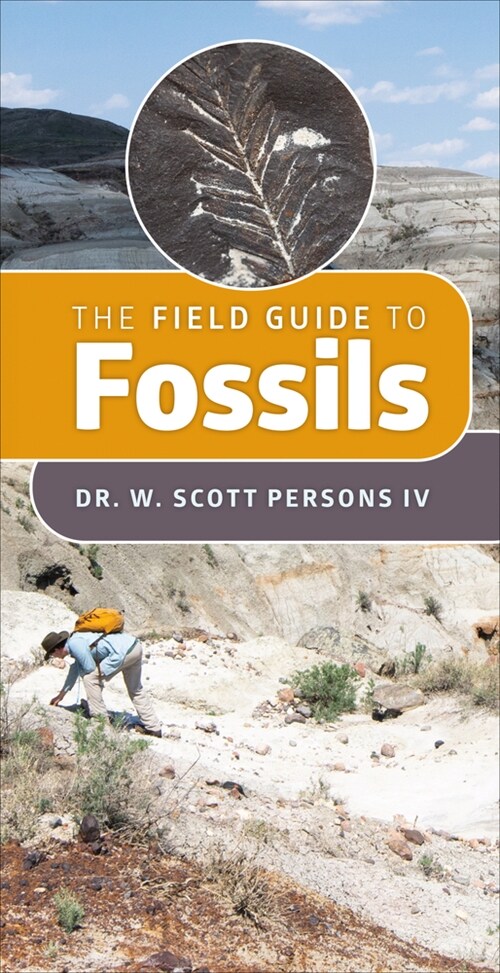 A Field Guide to Fossils (Paperback)