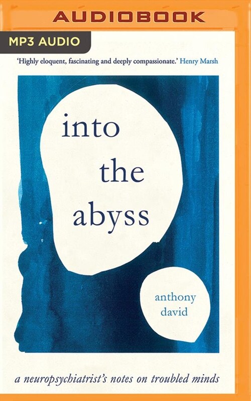 Into the Abyss: A Neuropsychiatrists Notes on Troubled Minds (MP3 CD)