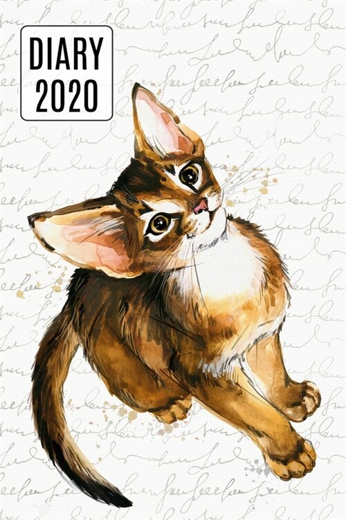 2020 Daily Diary Planner, Watercolor Abyssinian Cat: Three Days Per Page Full Year Planner (Paperback)