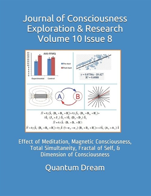 Journal of Consciousness Exploration & Research Volume 10 Issue 8: Effect of Meditation, Magnetic Consciousness, Total Simultaneity, Fractal of Self, (Paperback)