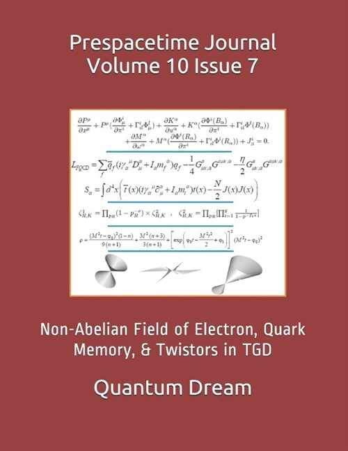 Prespacetime Journal Volume 10 Issue 7: Non-Abelian Field of Electron, Quark Memory, & Twistors in TGD (Paperback)