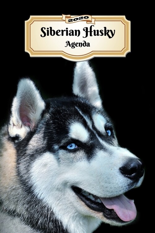 2020 Siberian Husky Agenda: 107 Pagine - Dimensioni DIN A5 - Pianificatore Settimanale - 12 Mesi - Due Pagine Per Settimana - Calendario - Diario (Paperback)