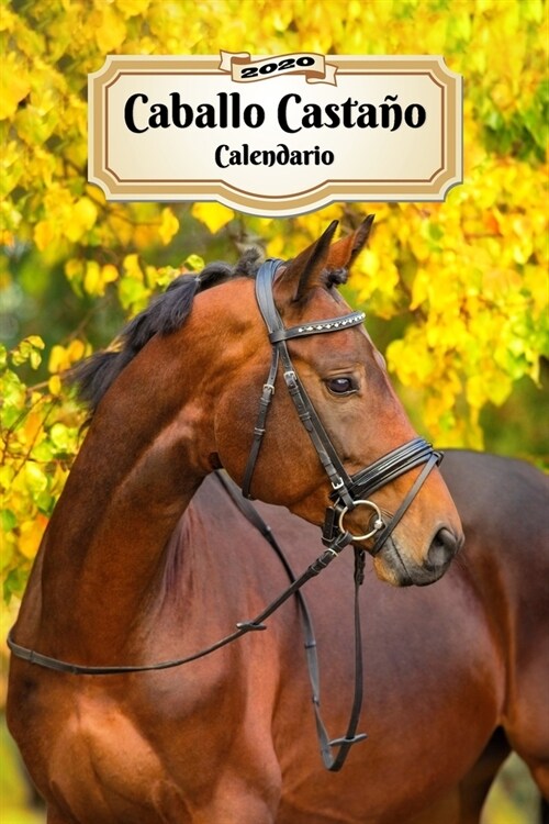 2020 Caballo Casta? Agenda: 107 P?inas - Tama? A5 - Planificador Semanal - 12 Meses - 1 Semana en 2 P?inas - Agenda Semana Vista - Tapa Blanda (Paperback)