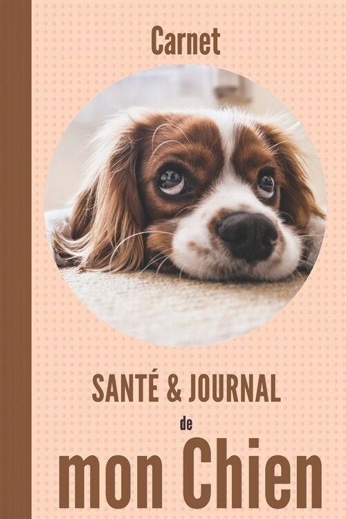 Carnet sant?et journal de mon chien: 110 pages - Cavalier King Charles (Paperback)